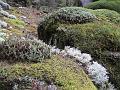 Natur 0156